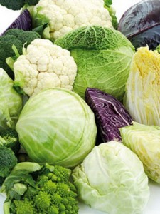 Broccoli, Cabbage and Cauliflower