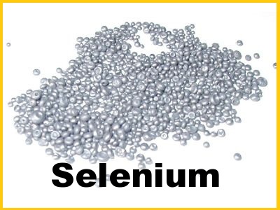 Dietary Supplements Selenium