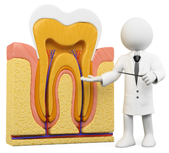 Myths Expose About Root Canal Treatment 