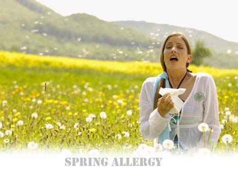Spring Allergy