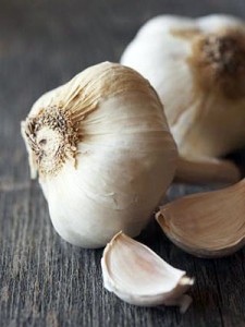 garlic